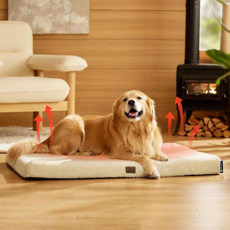 Smart Pet Accessories