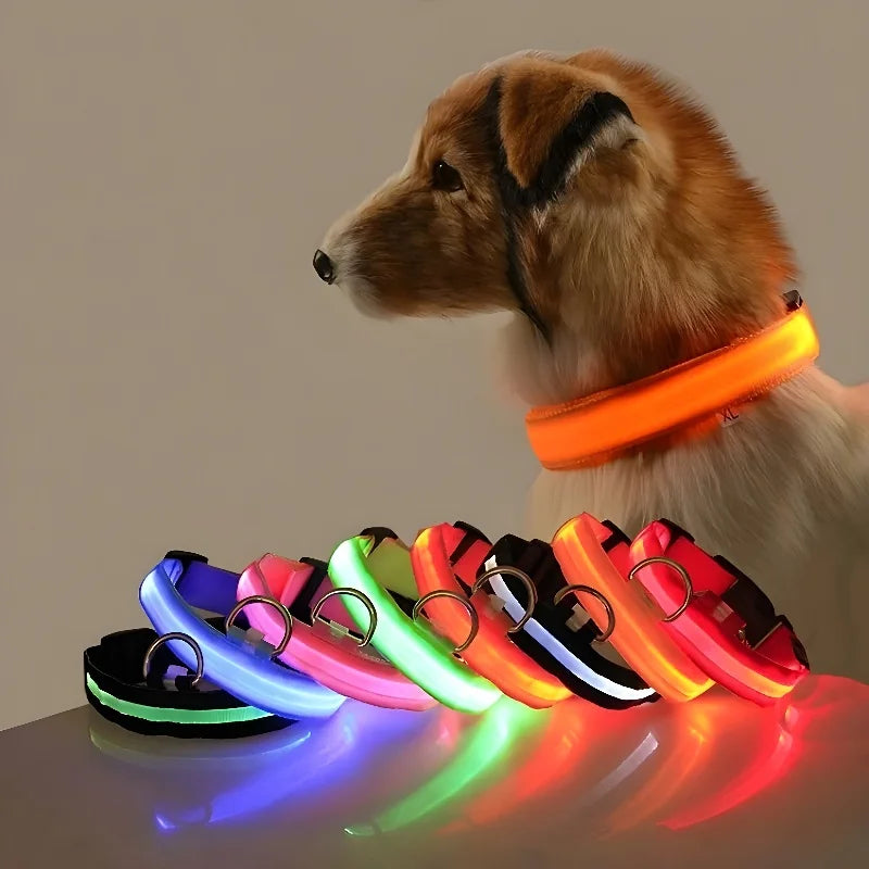 Glowsafe™ LED Pet Collar -  USB Rechargeable Night Visiblity