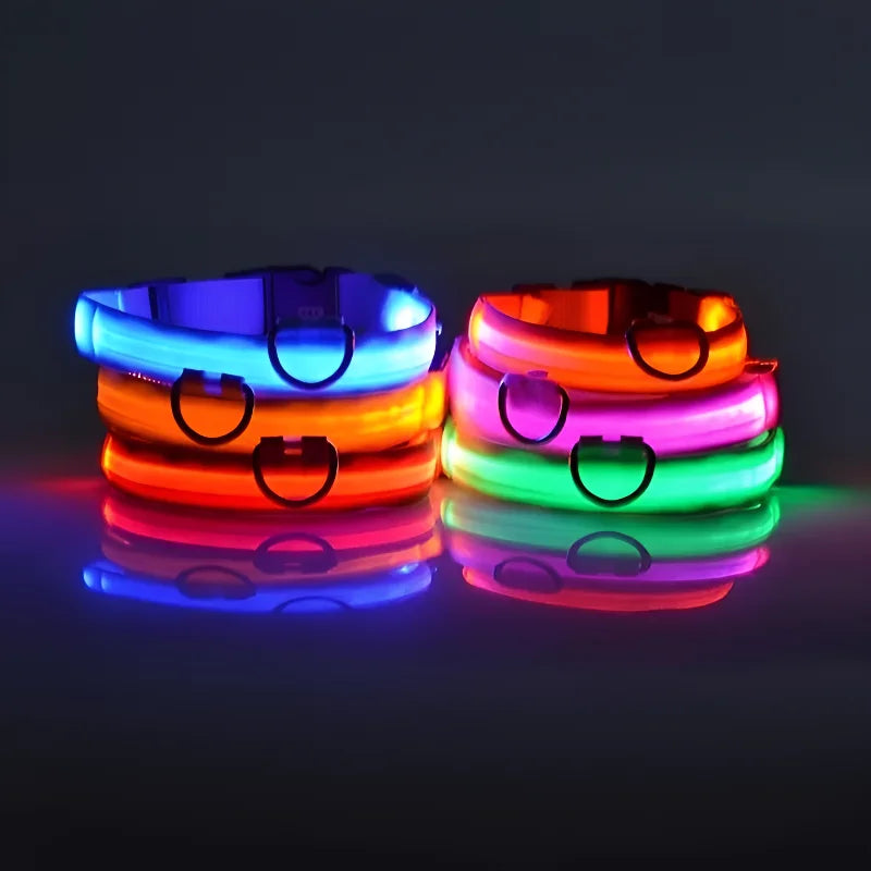 Glowsafe™ LED Pet Collar -  USB Rechargeable Night Visiblity
