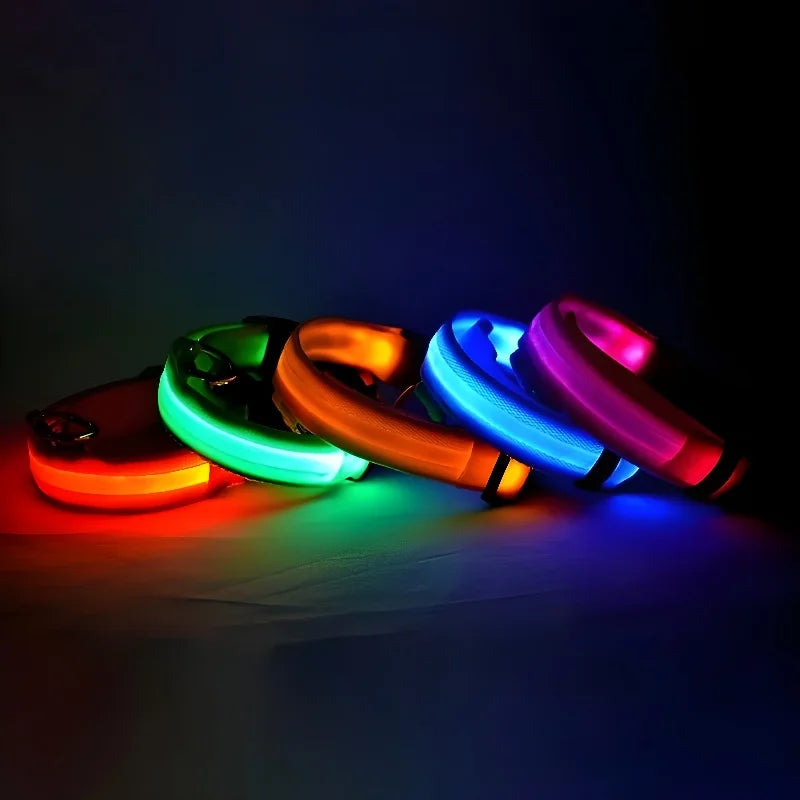 Glowsafe™ LED Pet Collar -  USB Rechargeable Night Visiblity