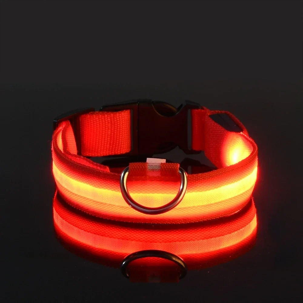 Glowsafe™ LED Pet Collar -  USB Rechargeable Night Visiblity