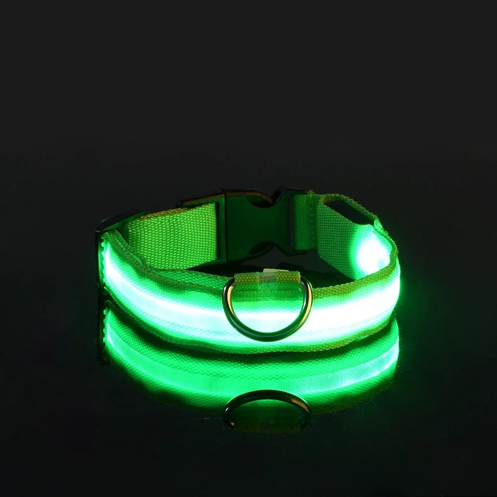 Glowsafe™ LED Pet Collar -  USB Rechargeable Night Visiblity