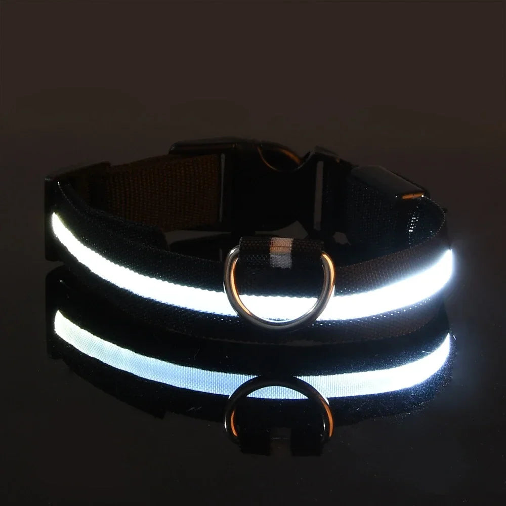 Glowsafe™ LED Pet Collar -  USB Rechargeable Night Visiblity