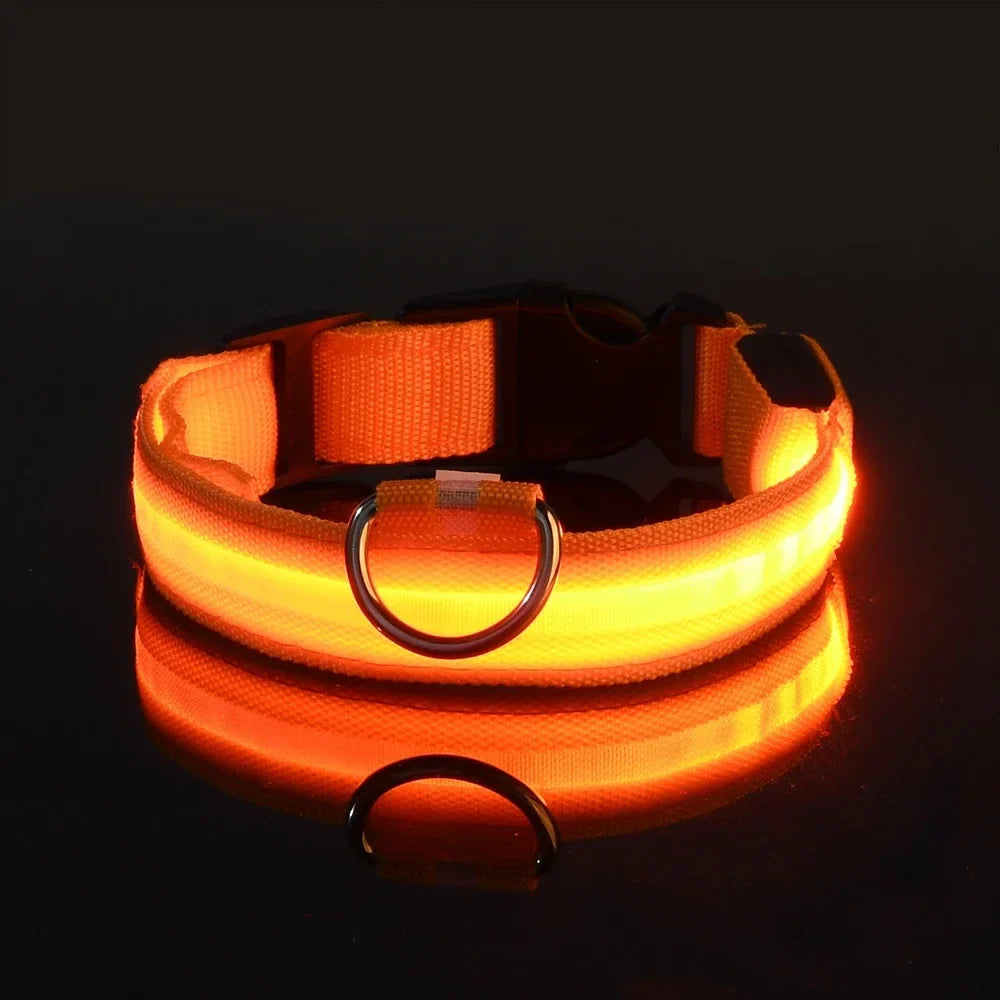 Glowsafe™ LED Pet Collar -  USB Rechargeable Night Visiblity
