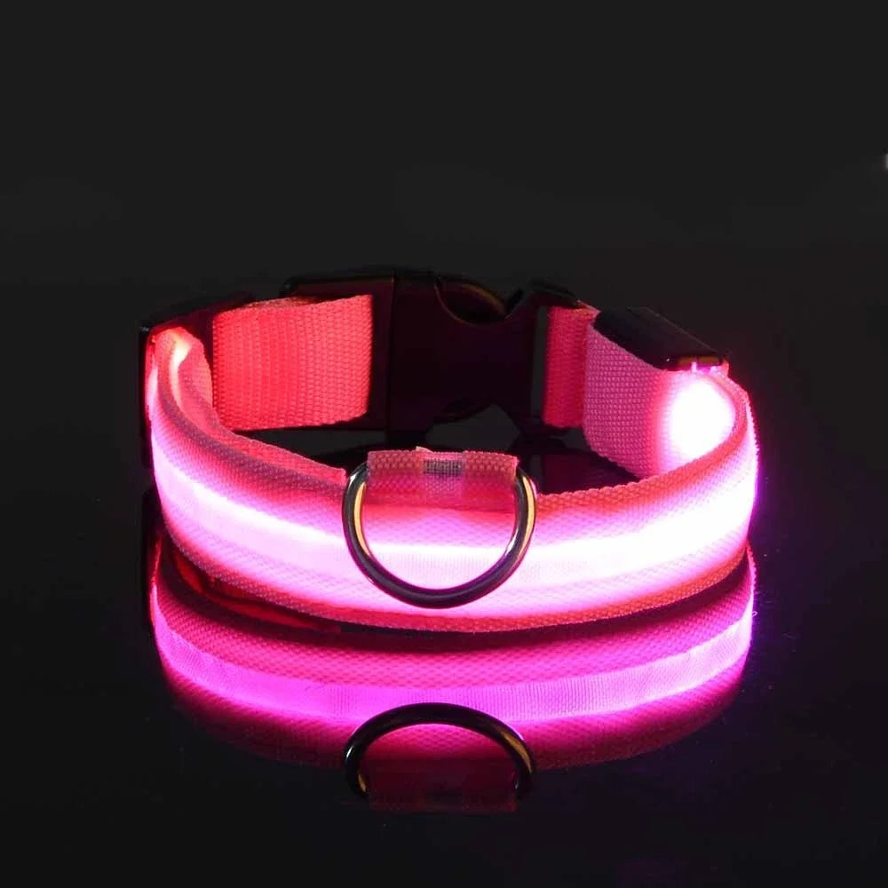 Glowsafe™ LED Pet Collar -  USB Rechargeable Night Visiblity
