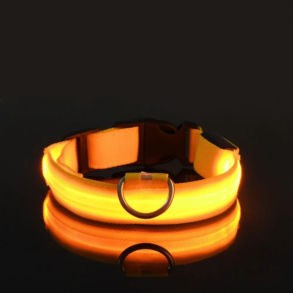 Glowsafe™ LED Pet Collar -  USB Rechargeable Night Visiblity
