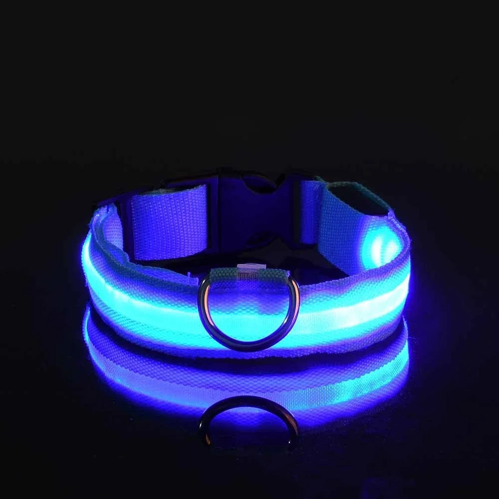 Glowsafe™ LED Pet Collar -  USB Rechargeable Night Visiblity